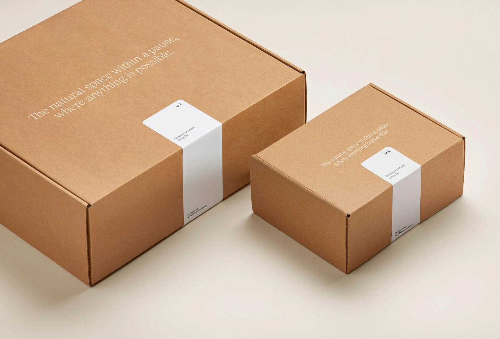 Craft box packaging